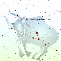 Stelle del Toro