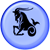 Capricorno